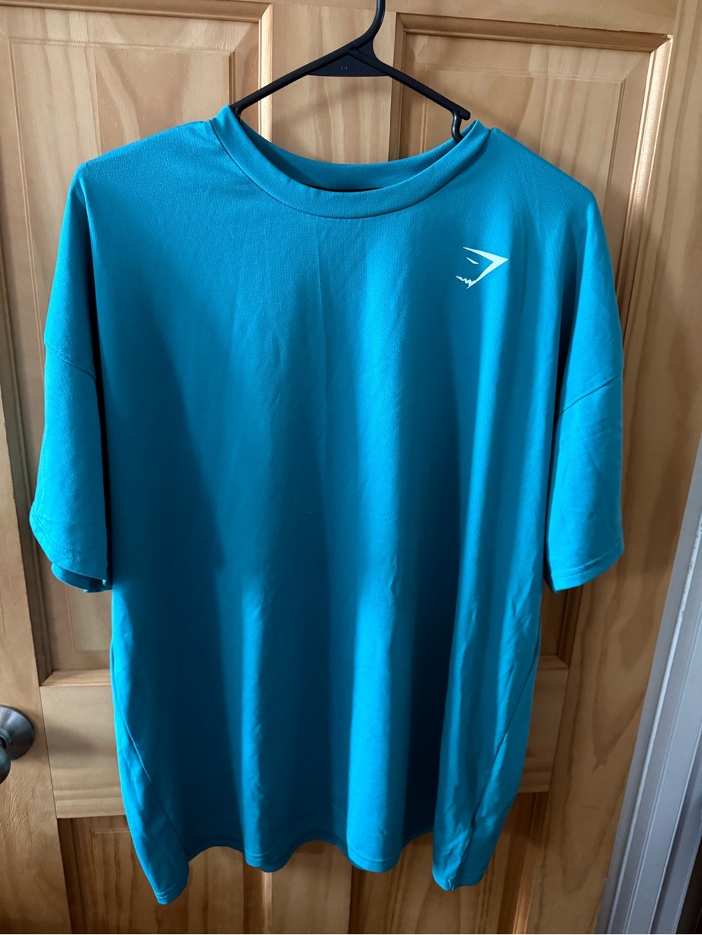 Like New, Men’s GymShark T-Shirt Size Large Teal Colored